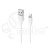 DTC_LTG-BFN-BX19-W